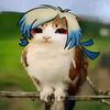 vai_se_fude_mimad