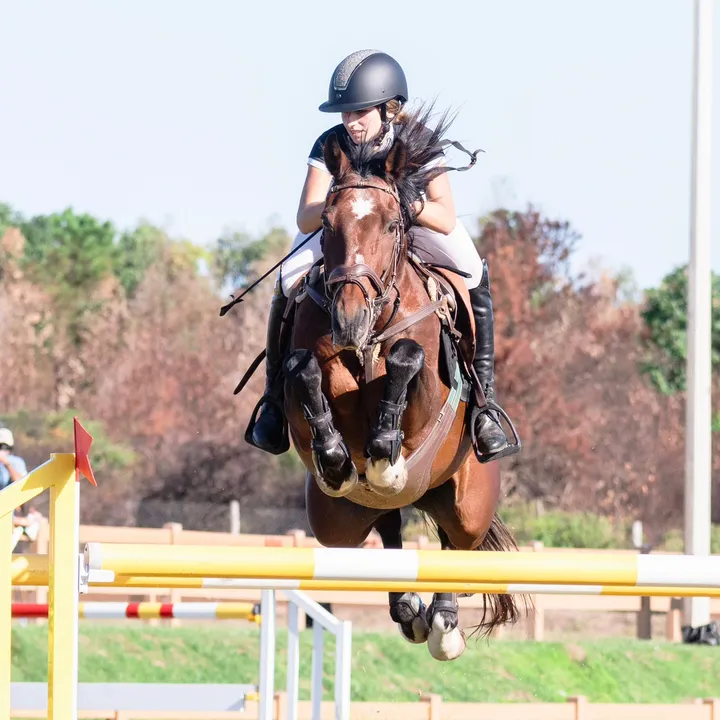 martinarossi_showjumping