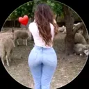 @almedaisgracer