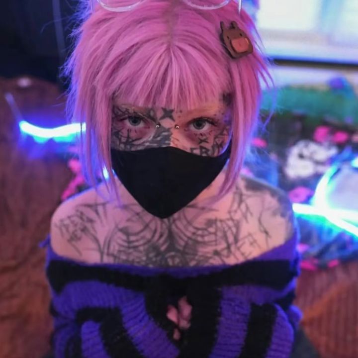 web__meow