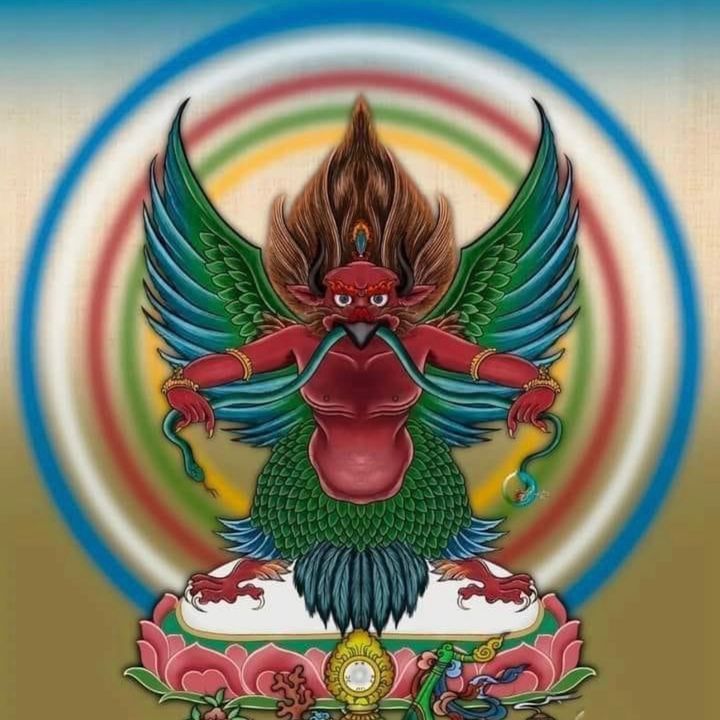 samsara3565