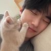 cat_vlog300