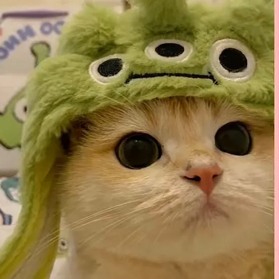 jiahnm14