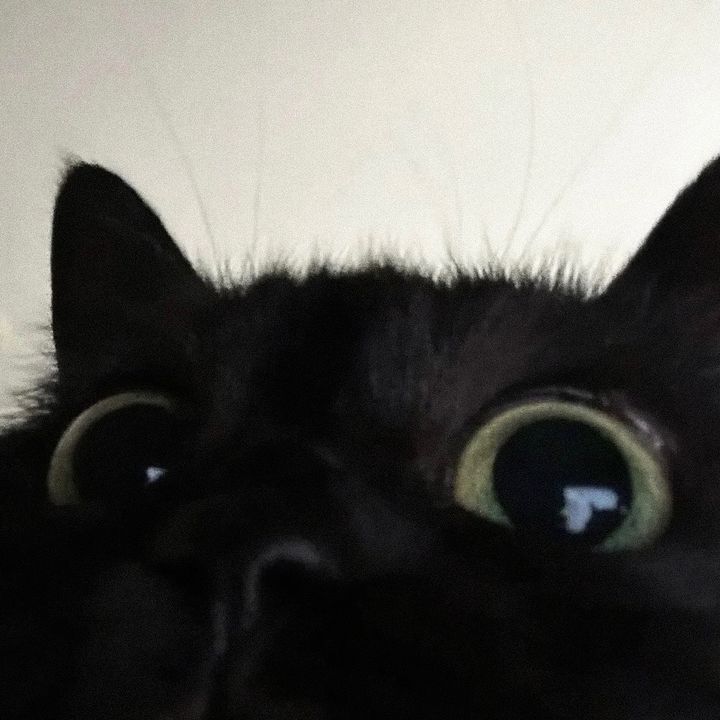 iliilillililii