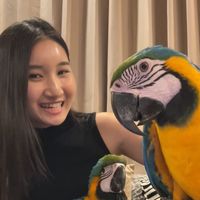 parrotpalms