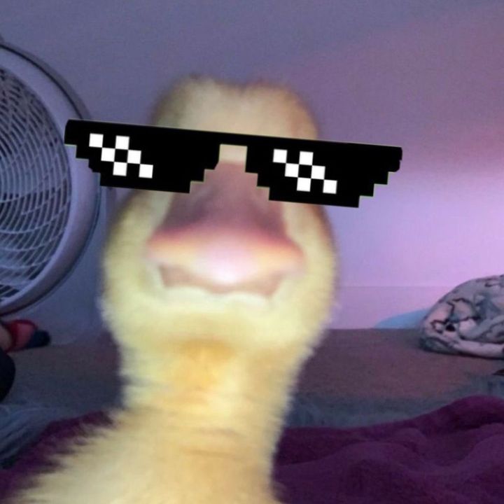 ella_editorr2