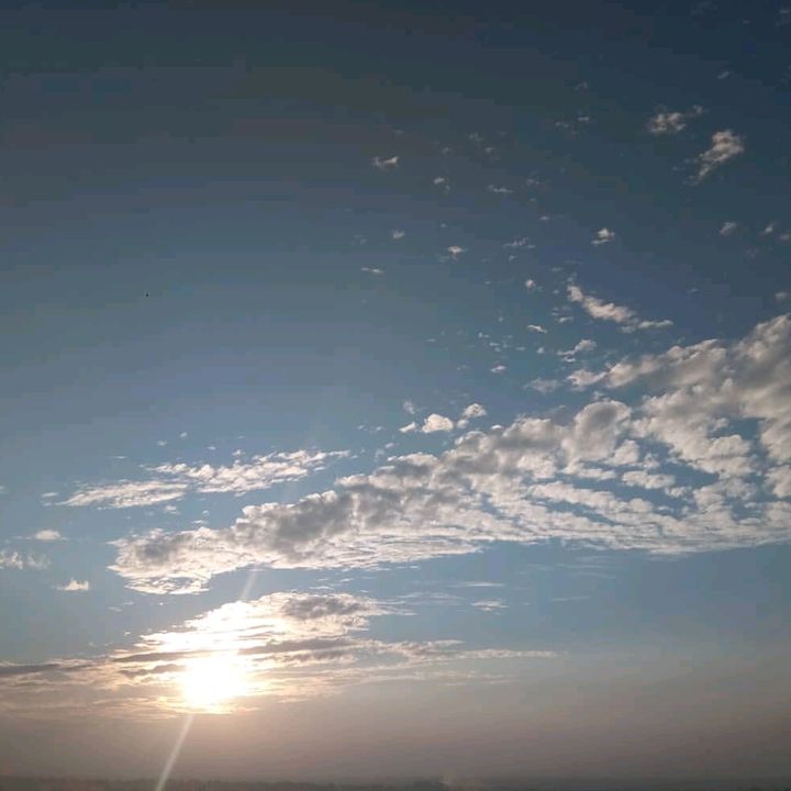 malik_afaaq