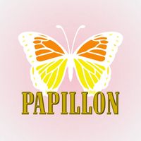 papillon_mkmn