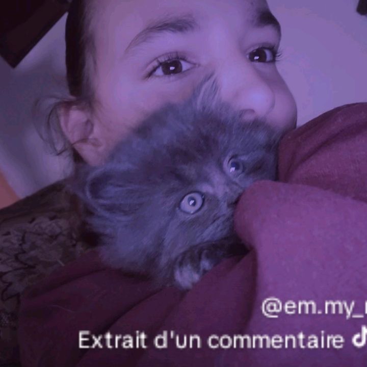 elyanacharbonneau