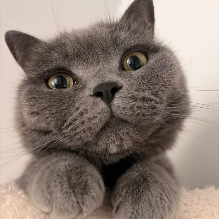 emmieluvsyeww