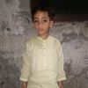 malik.parwav