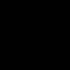 roseorange1