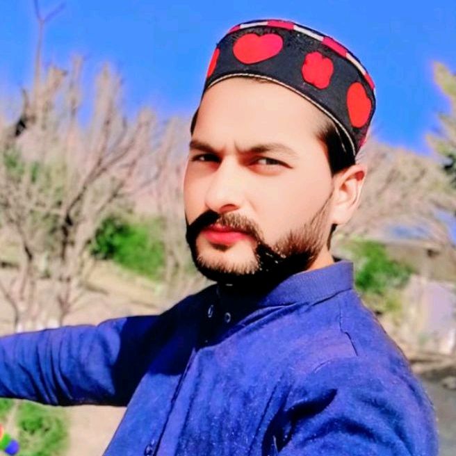 mazhar.hayat086