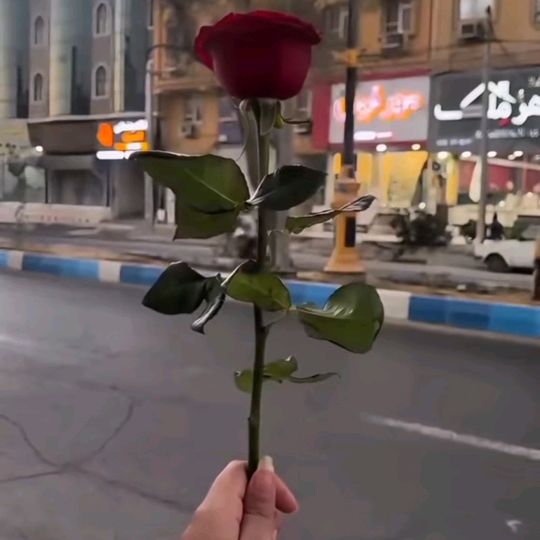 .meeran7