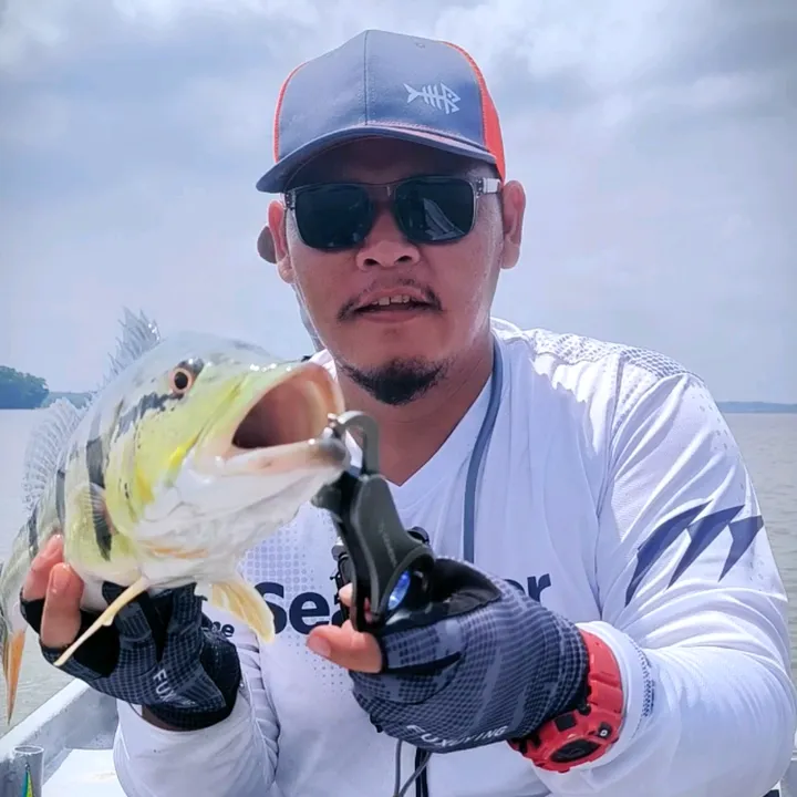 papa_jahat96