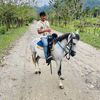 davidalvarado7772