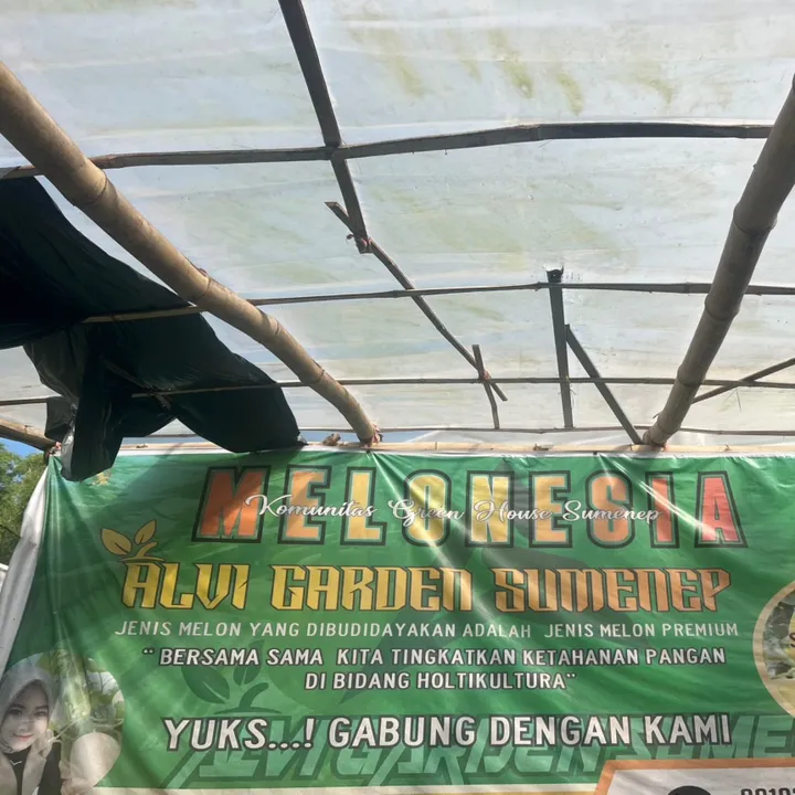 alvigarden