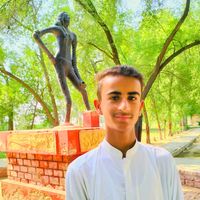 shanifali115