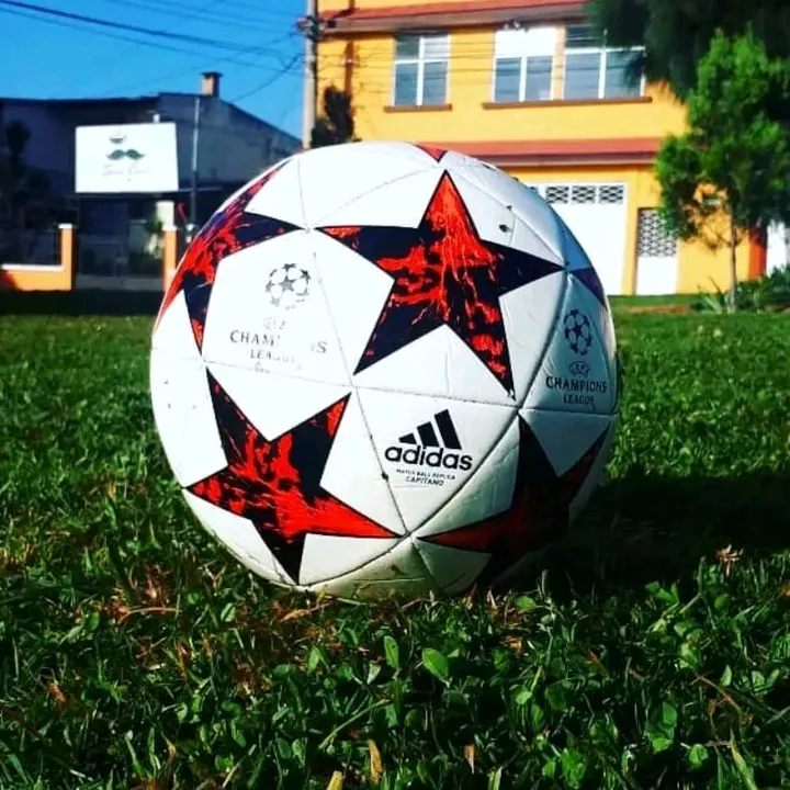 xelaleo