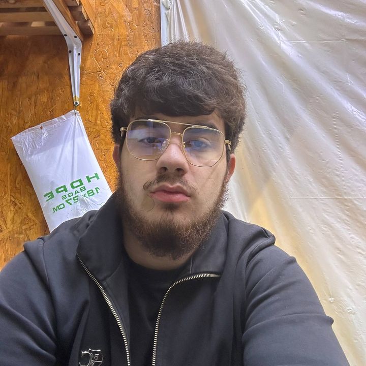 vloshka1
