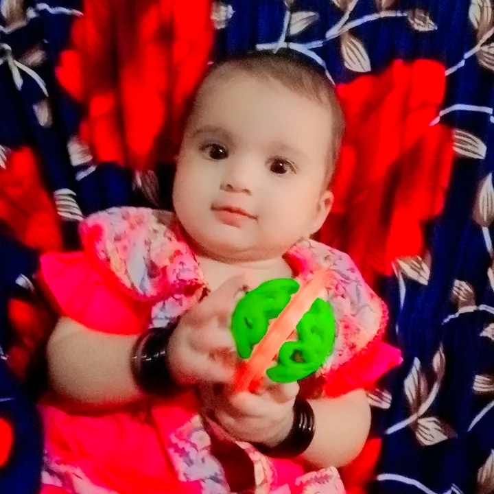 anwar.ul.haq.joyia