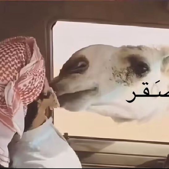 mnahi69