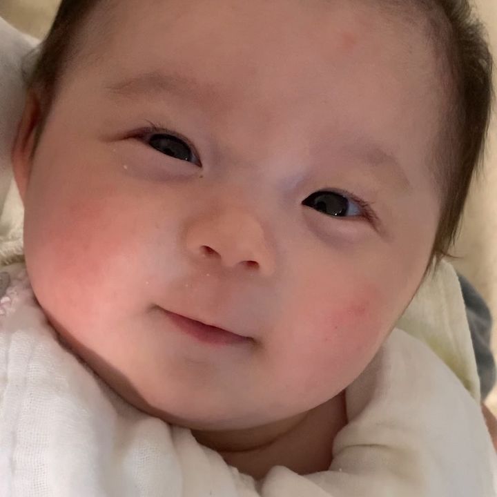 himachannel16
