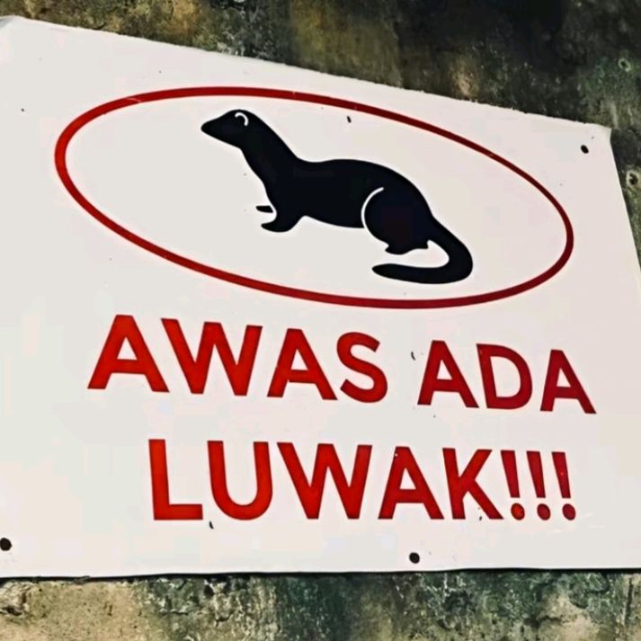 sudahhhsembuhhhh
