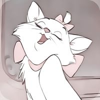 userneme_954