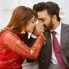 sadia14354