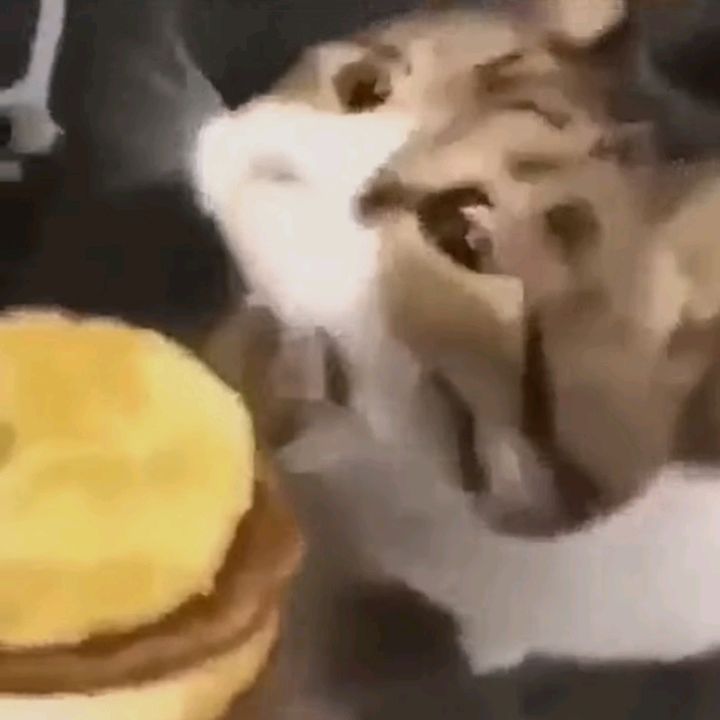 me_wan_mor_food