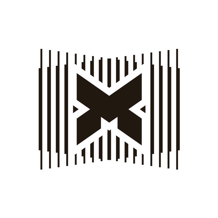 X:IN - Dazzle Flash
