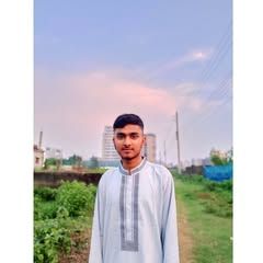karimul.islam01