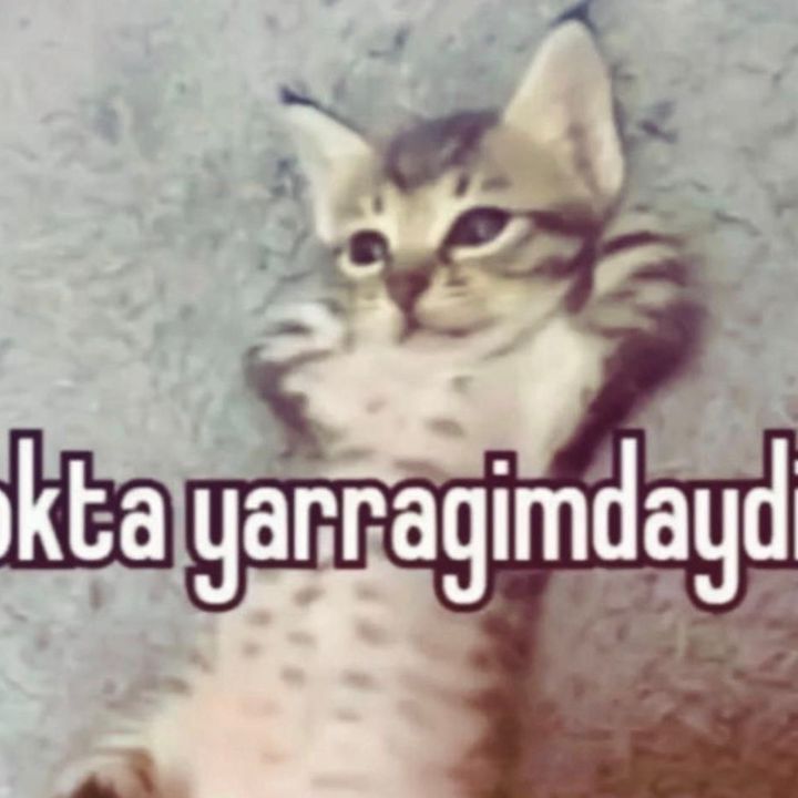 emrewavv