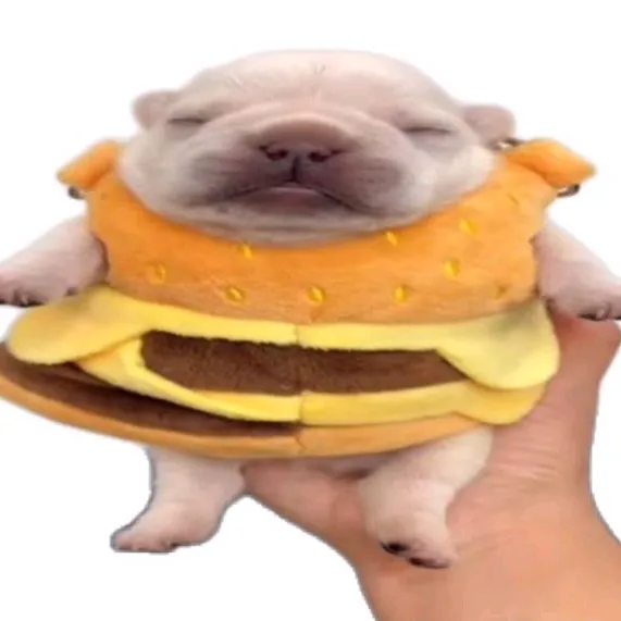 1nonlymiloo
