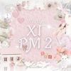 11pmtwo_muhi