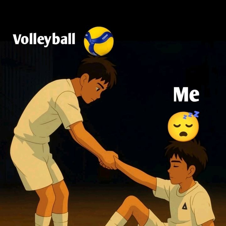 slvolleyball2
