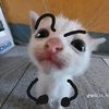 katanya_sii_penjahat