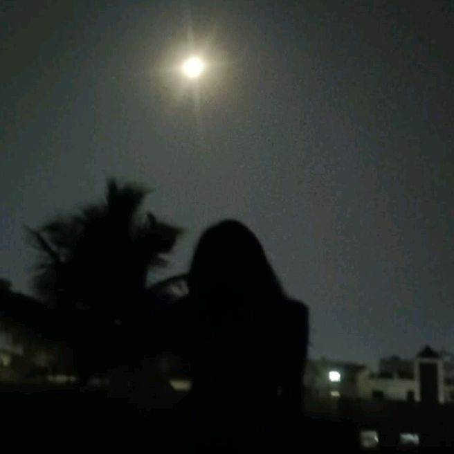 jesselmarcos8