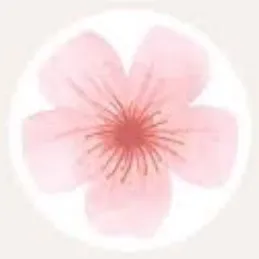 gracehuh7