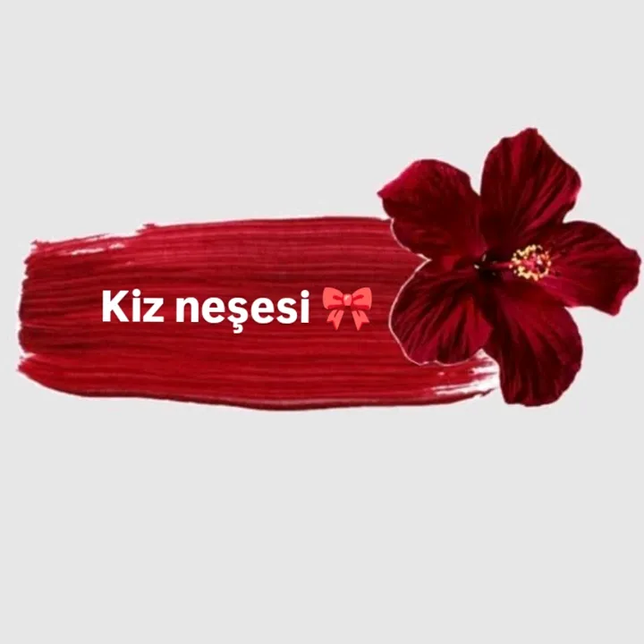 @lena11.o3
