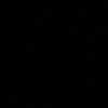 black_taurus
