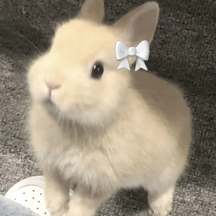 nrwashie