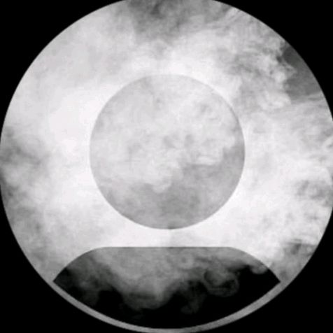 lamonnur