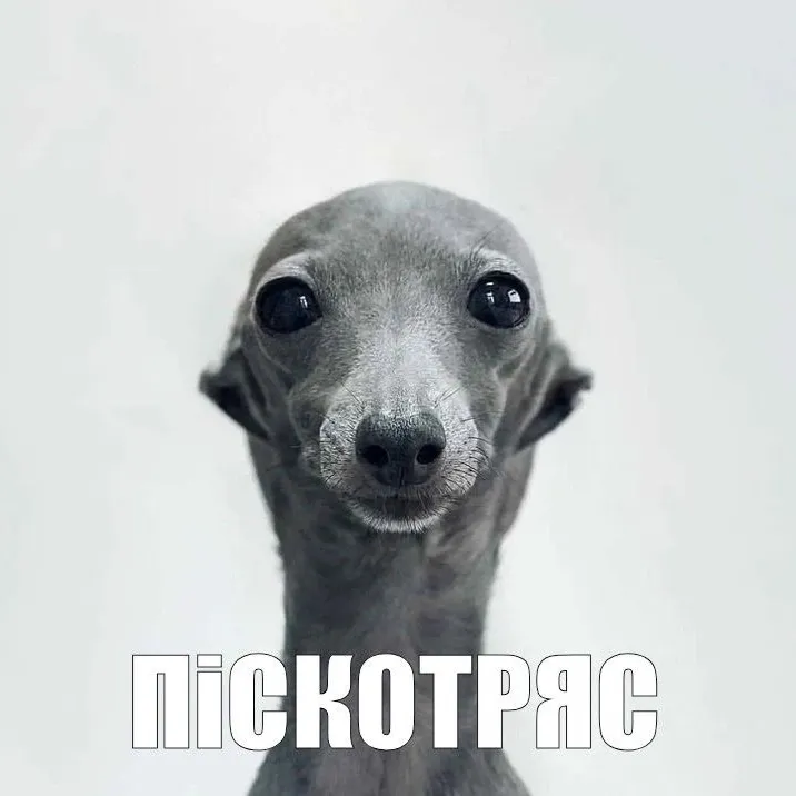 apeekz3