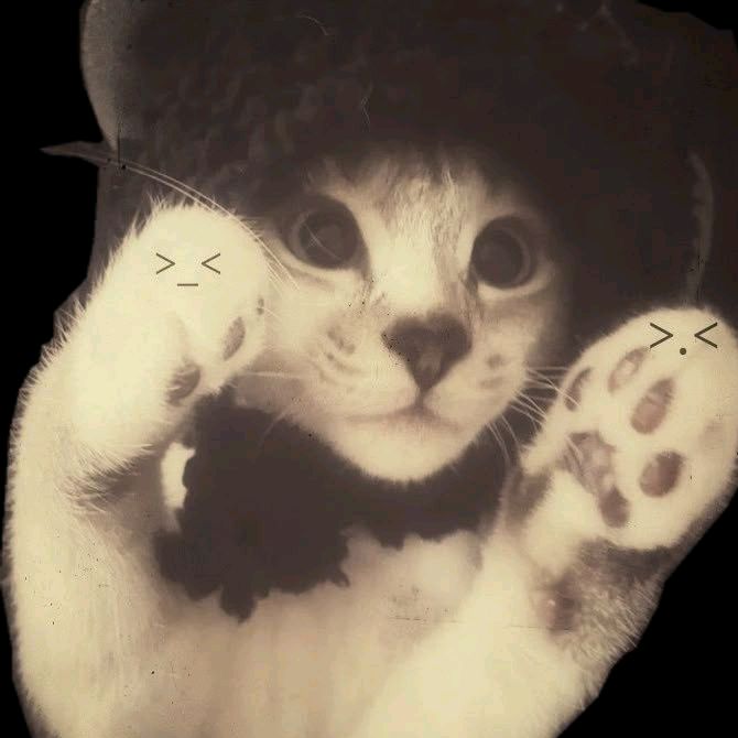 _hthwnq_