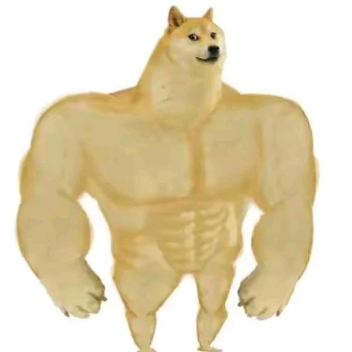 doge135