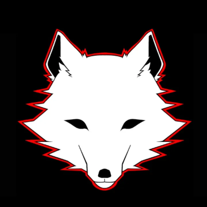 killerwolf3443
