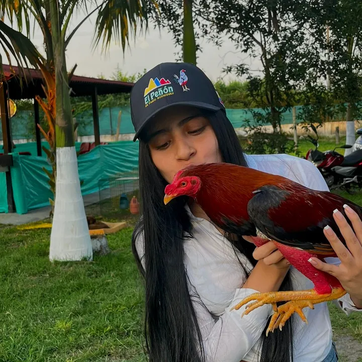 fabianarodriguez_b