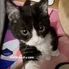 kittyandso_on